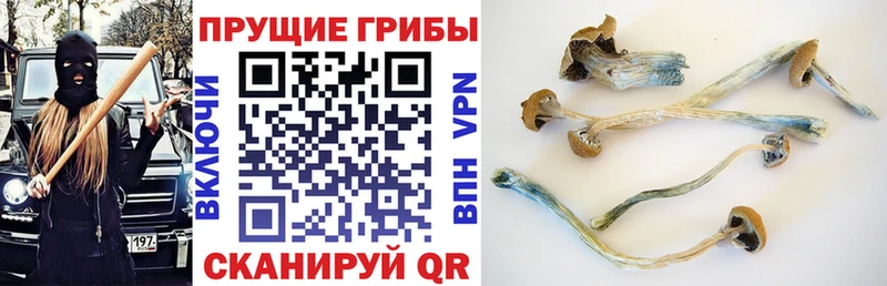Псилоцибиновые грибы ЛСД  где можно купить наркотик  Усолье-Сибирское 