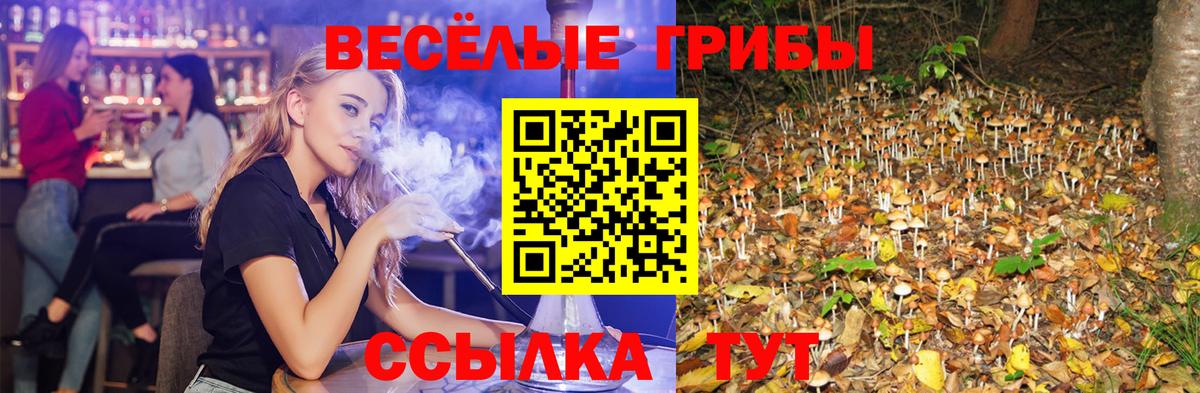 дарнет шоп  Вход с VPN  Усолье-Сибирское  Псилоцибиновые грибы мухоморы 
